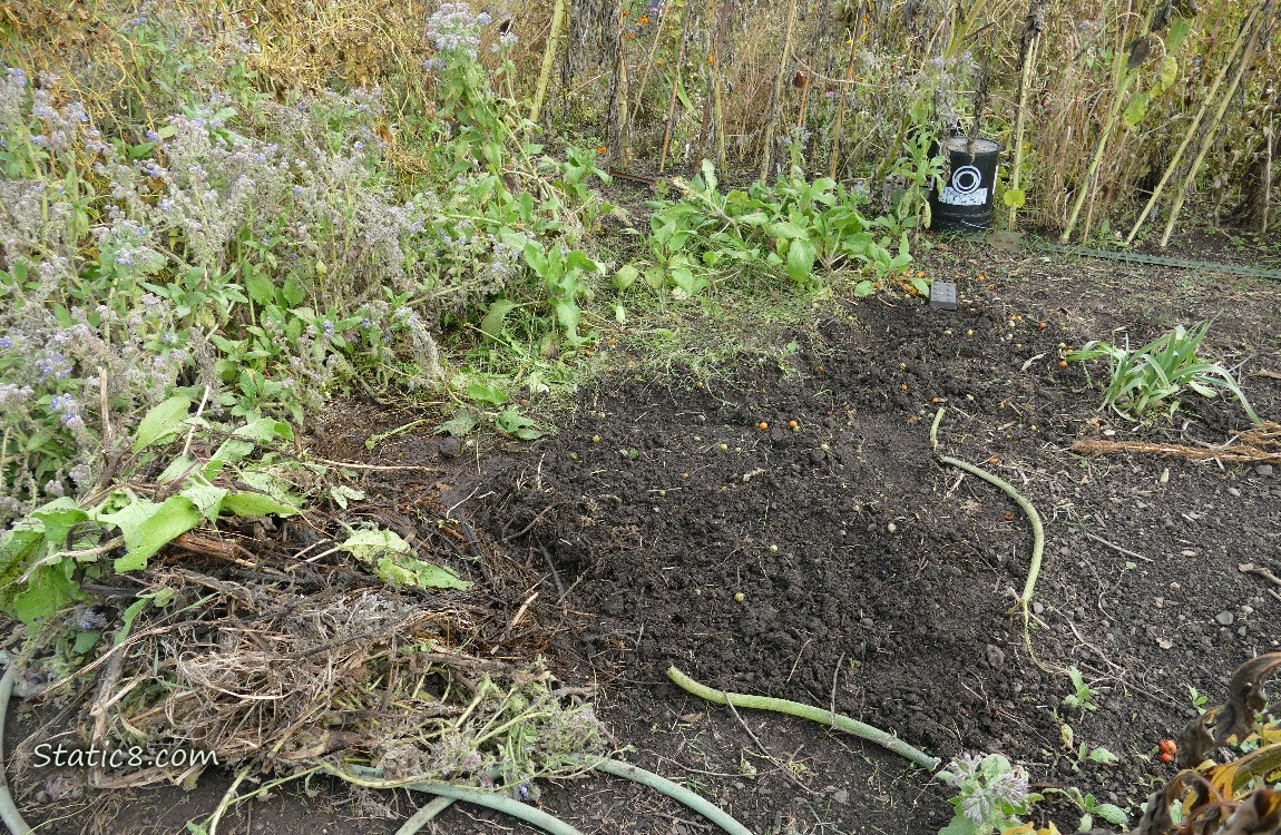 Garden plot after