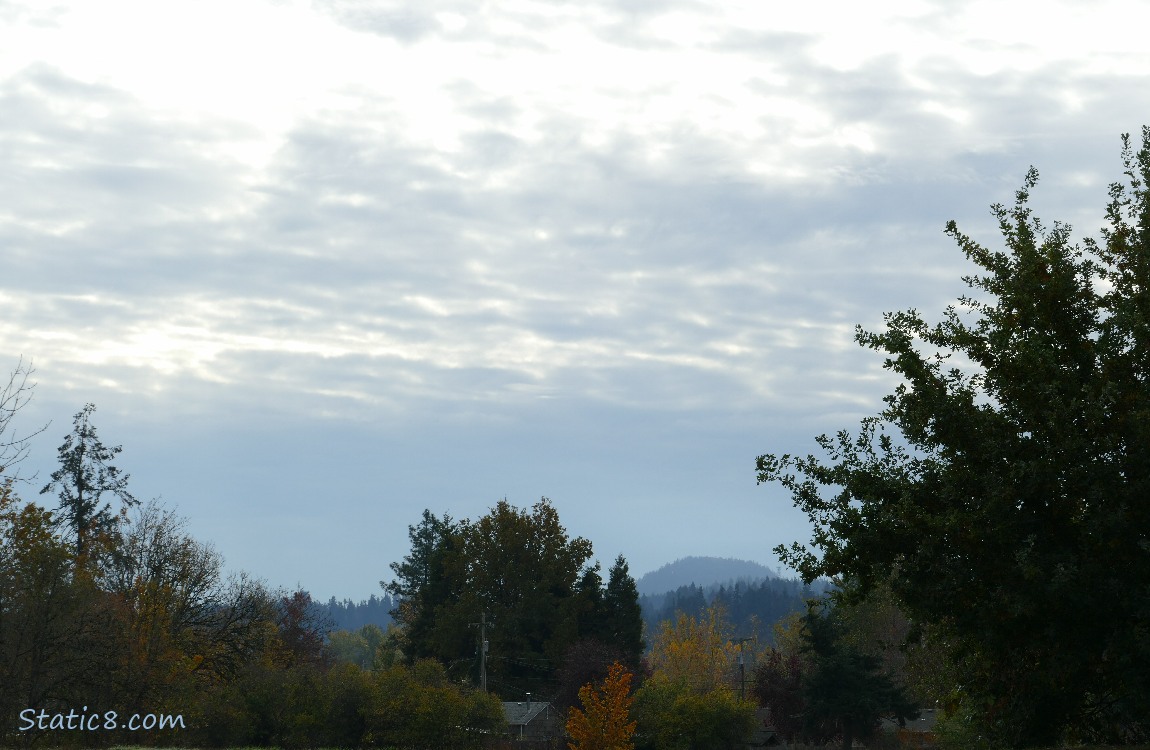 trees on the hill with layers of grey clouds above