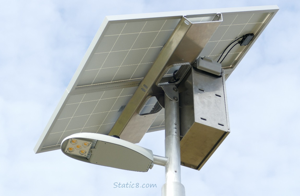 Looking up at a solar path lamp