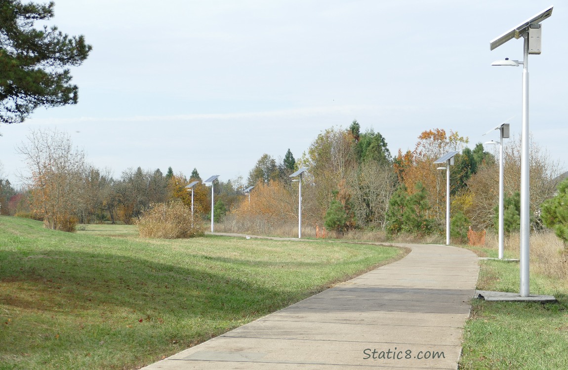 Bike path lined with solar lights