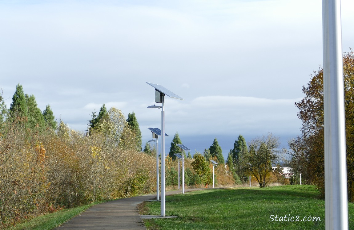 New solar lights along the bike path