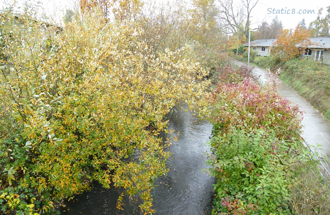 Looking down at the creek and bike path from a bridge