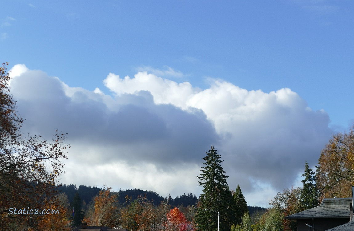 Clouds over the trees