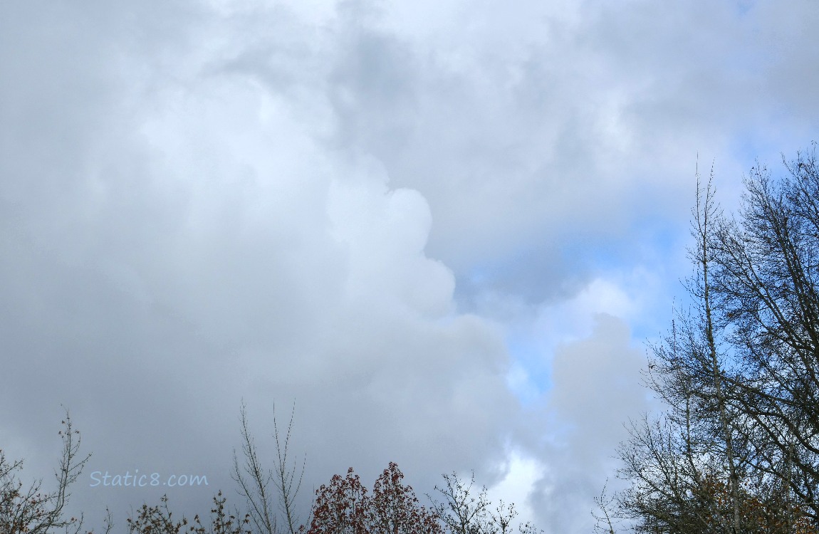 Grey clouds billowing