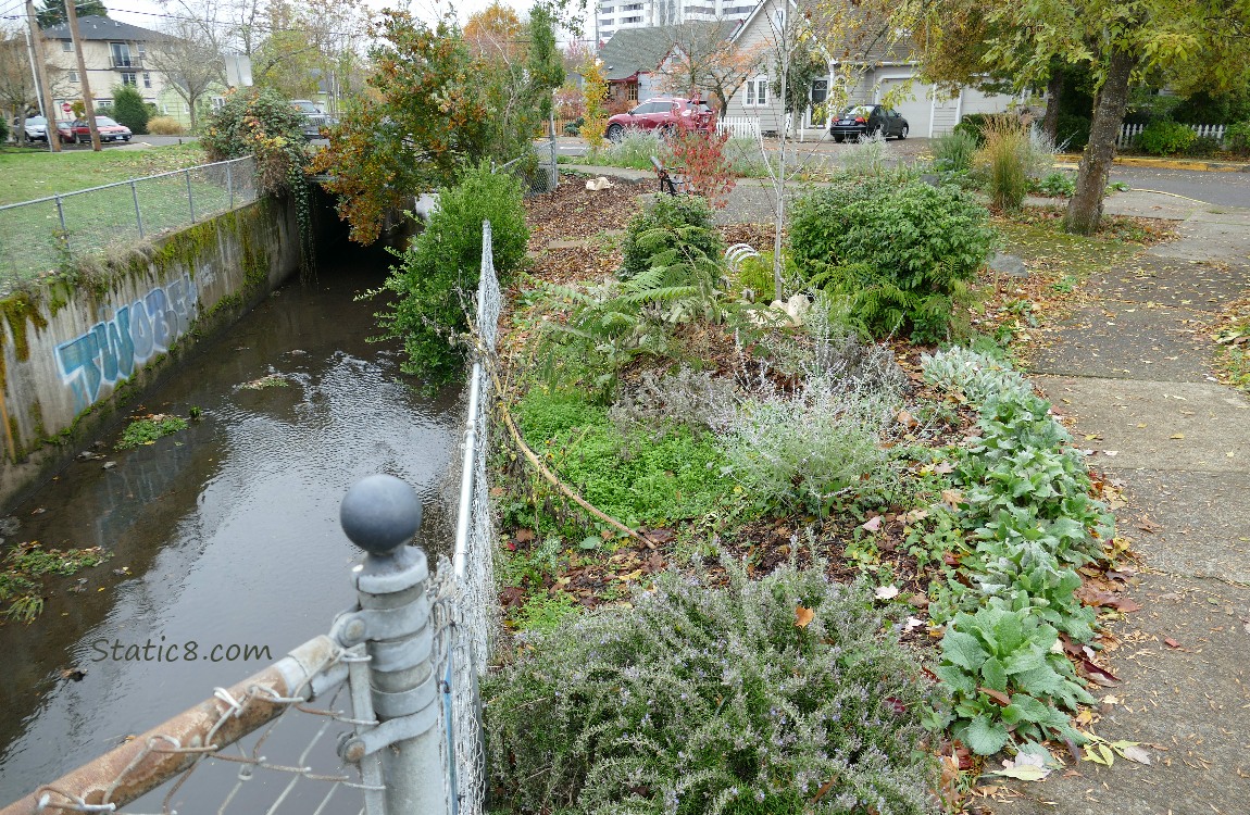 a micro park on a neighborhood street corner