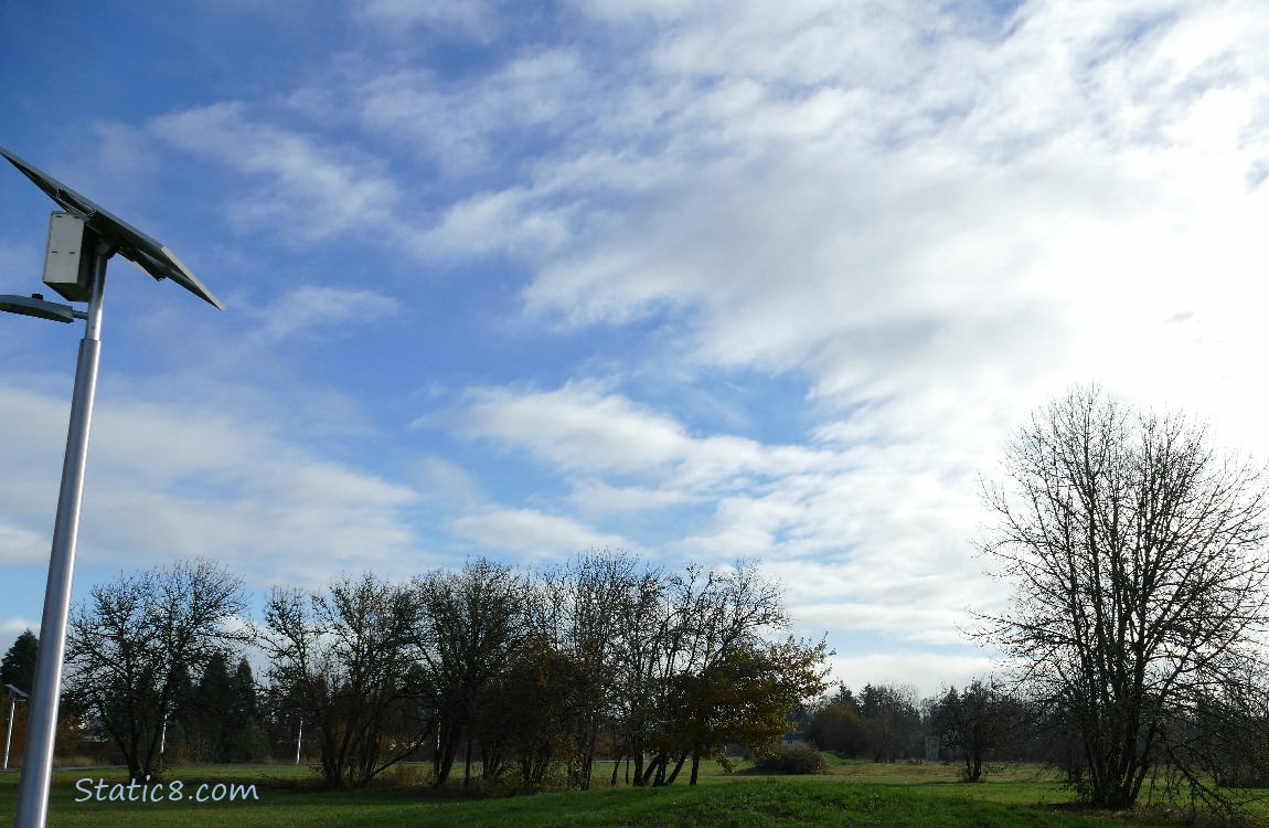 Blue sky with disipating clouds over trees