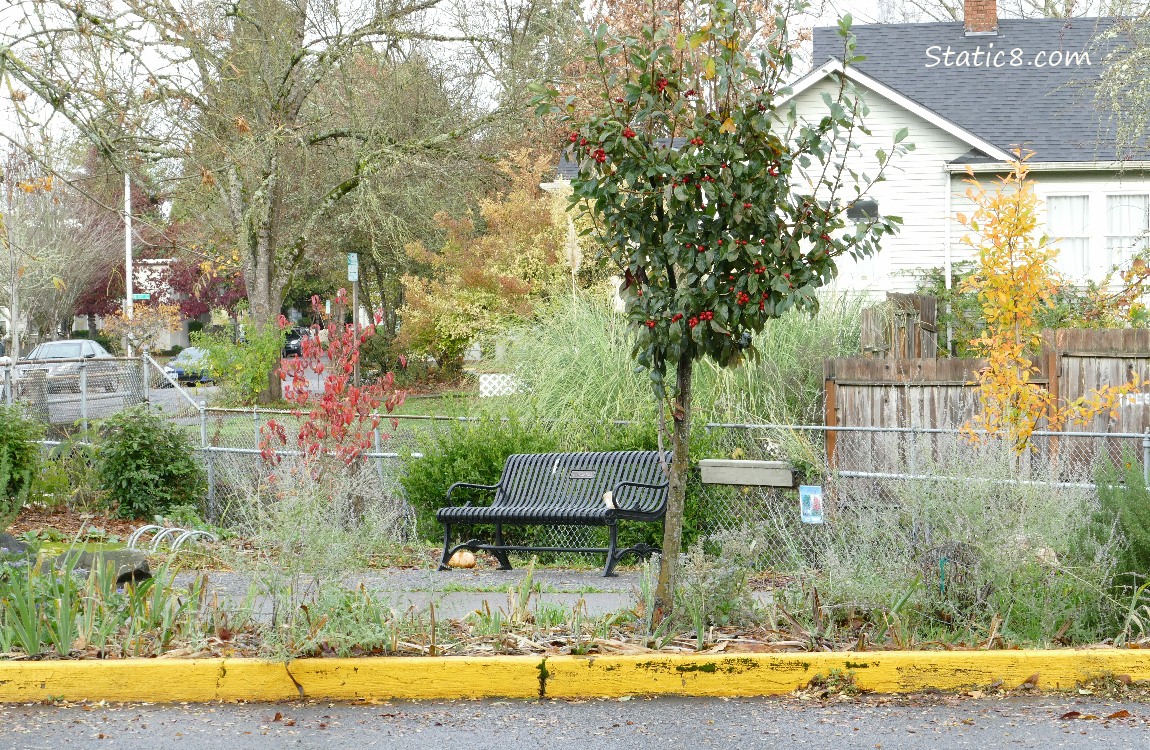 Park bench by the side of a neighborhood street