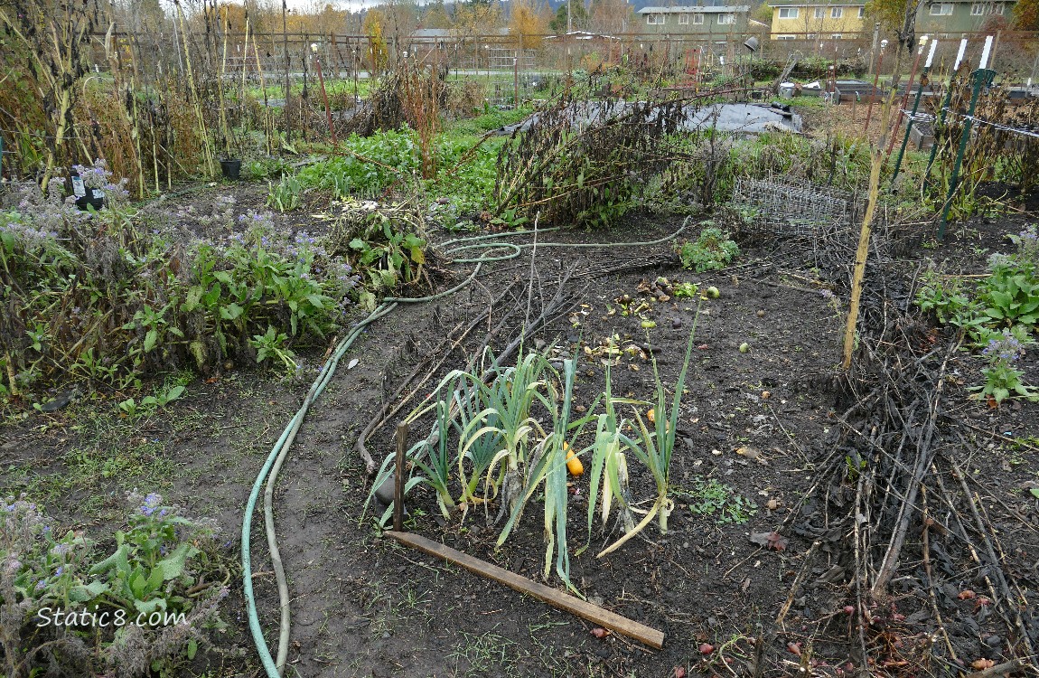 Garden plot