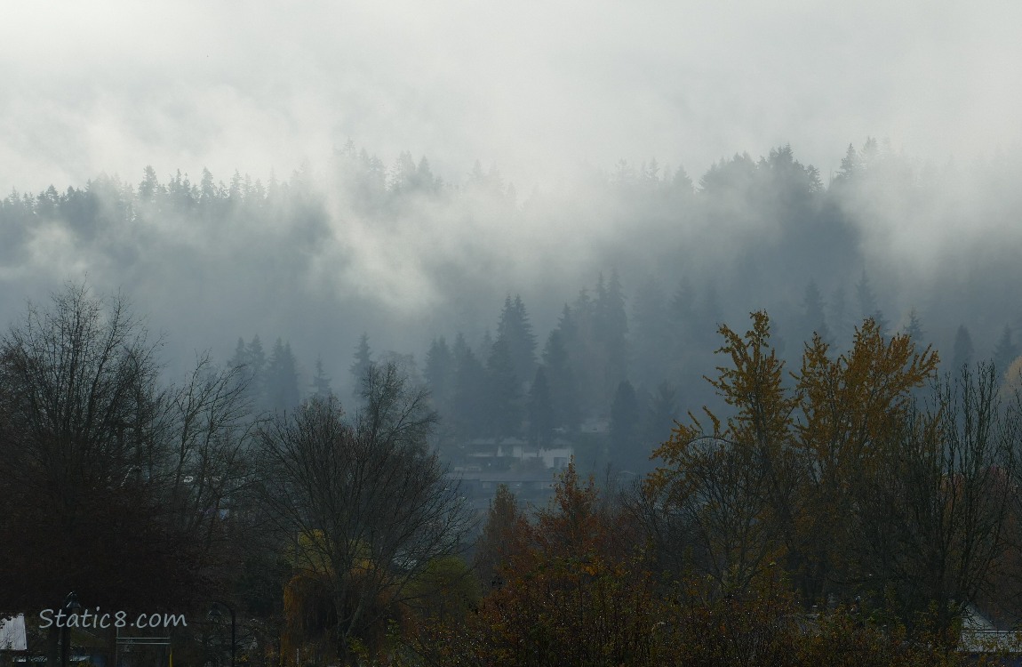 Fog in the hills