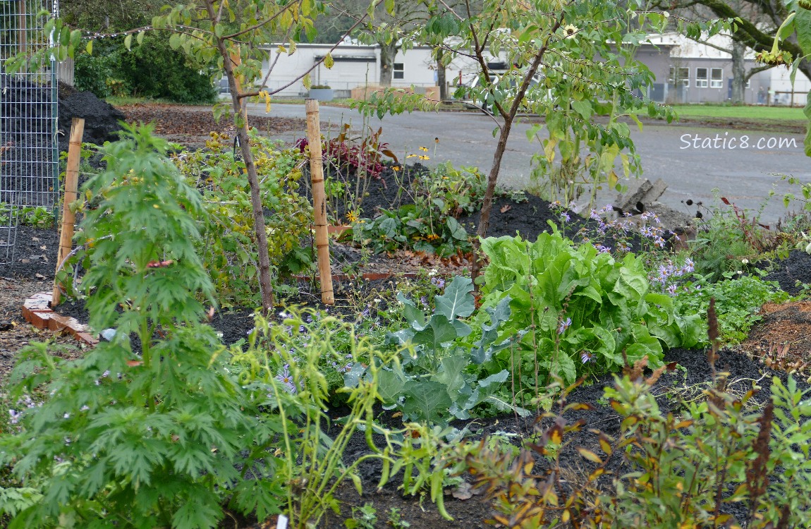 Garden plot