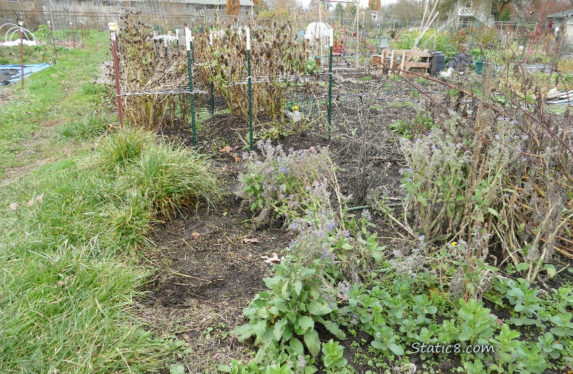 Garden plot