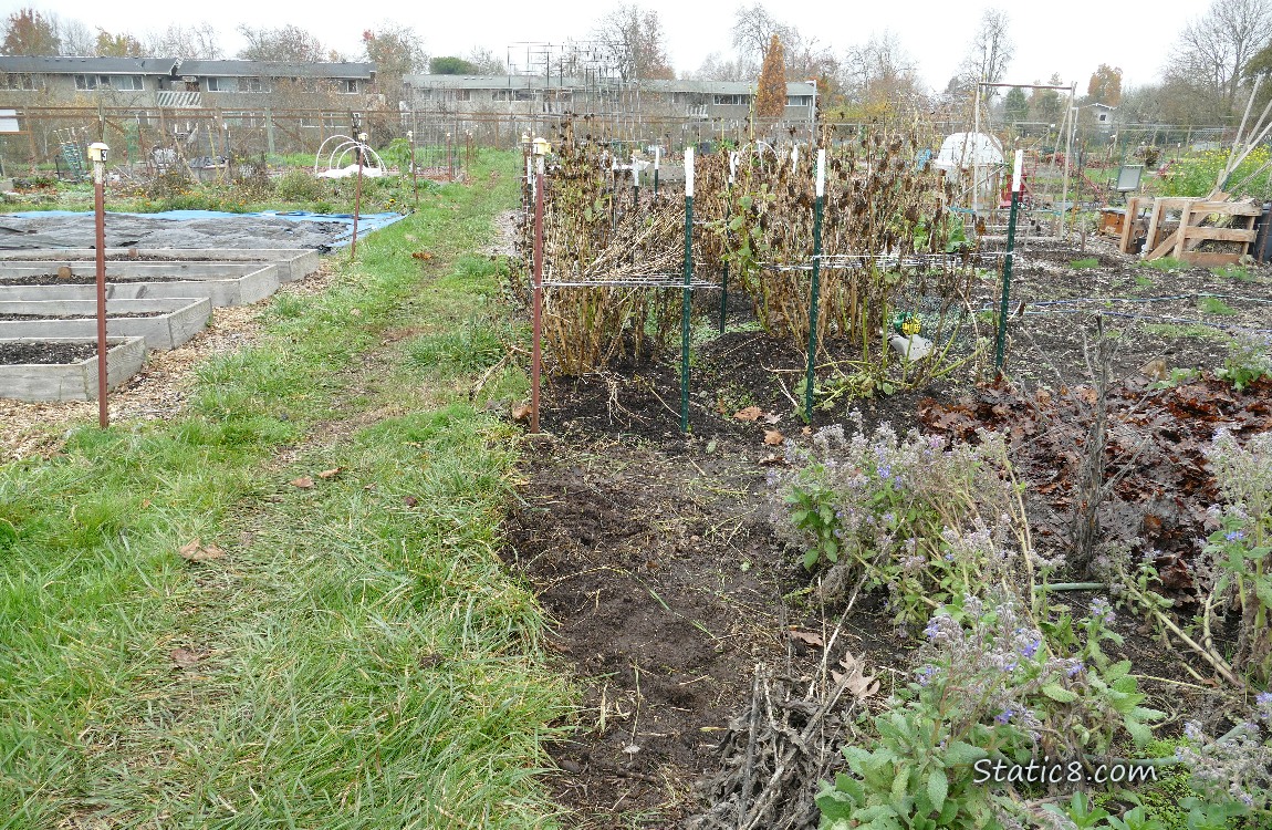 Garden Plot