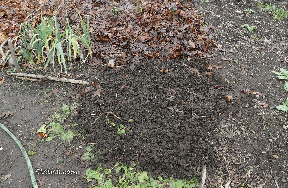 Garden plot