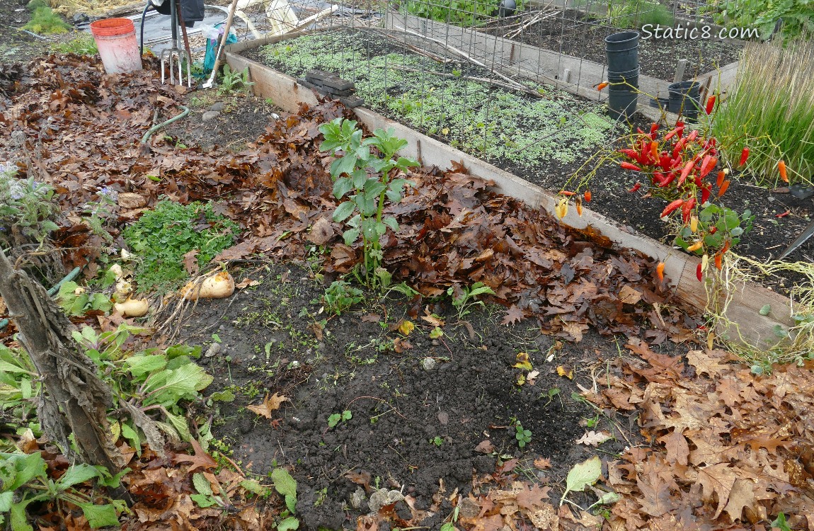 Garden plot