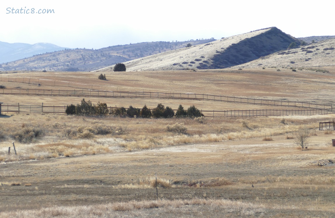 Dry Colorado landscape with foothills in the distance