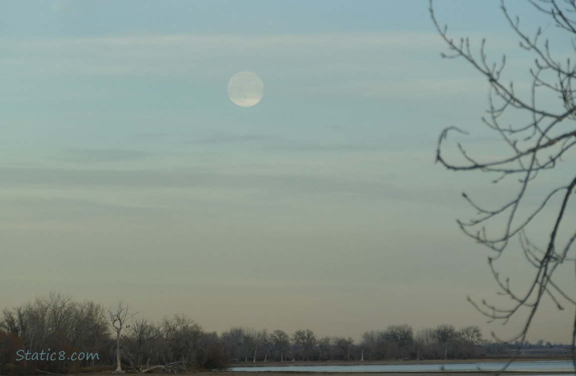 Full Moon over trees and the lake