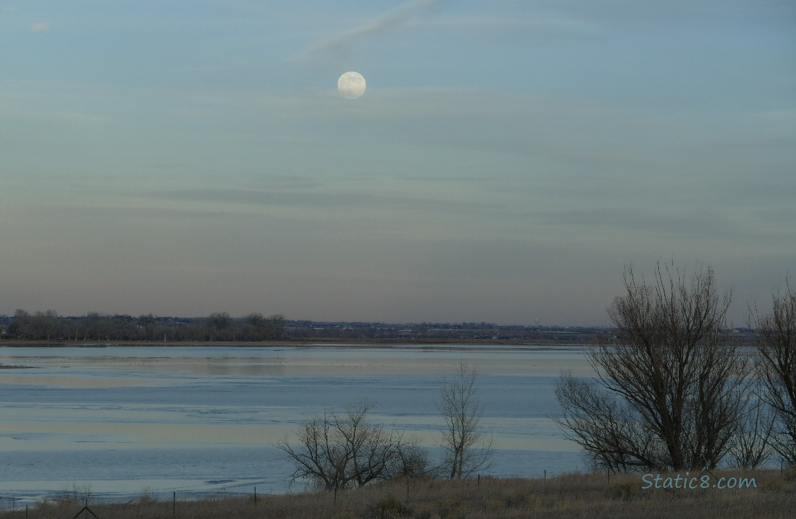 Moon over trees and the lake