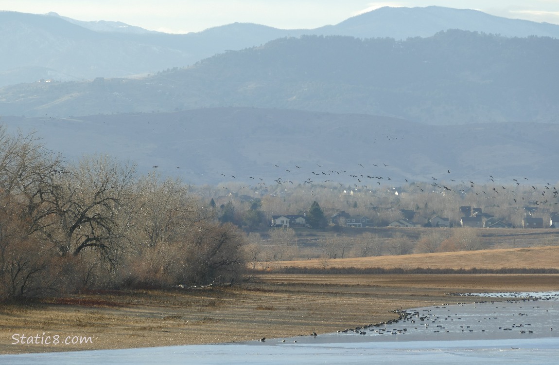 Geese flying in the distance over the lake, trees and hills in the background