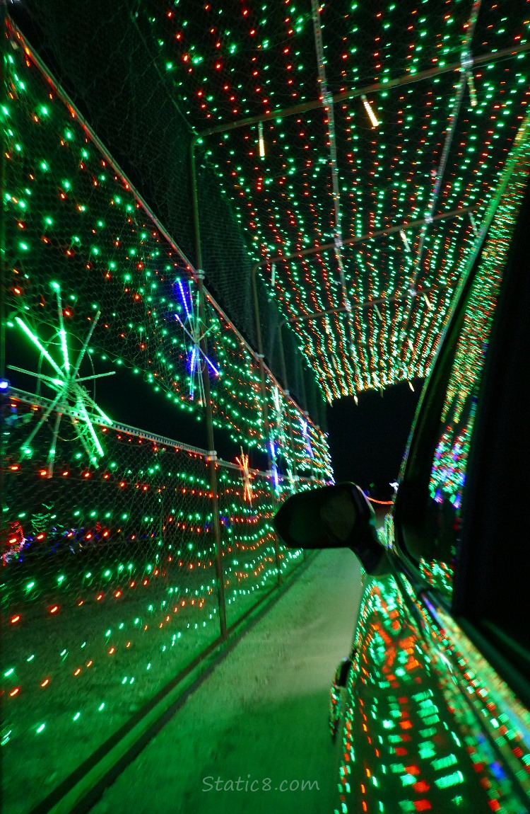 Wall of green christmas lights