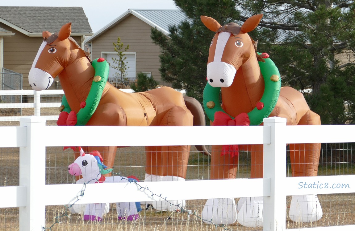 Blow up horses with wreaths around thier necks