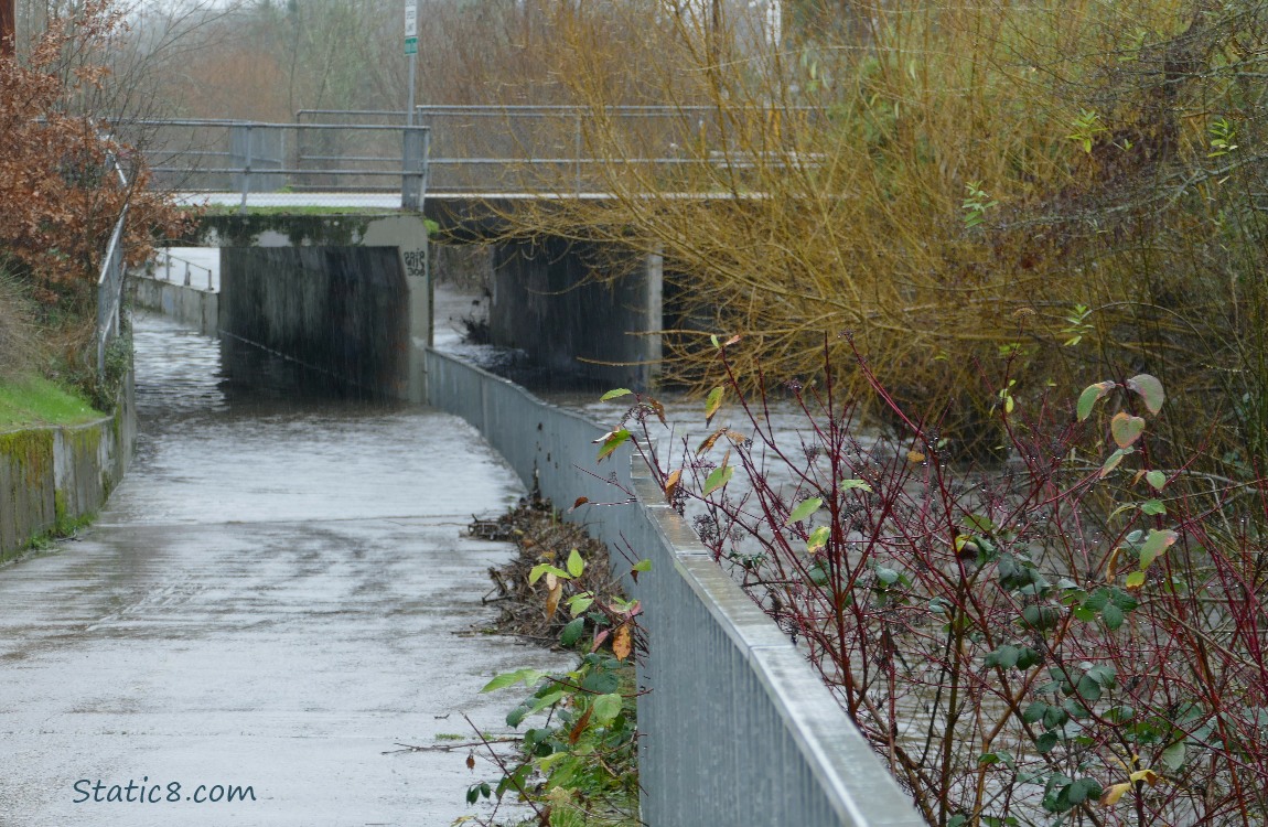 Flooded bike path