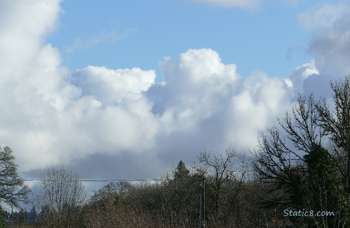 Puffy white clouds