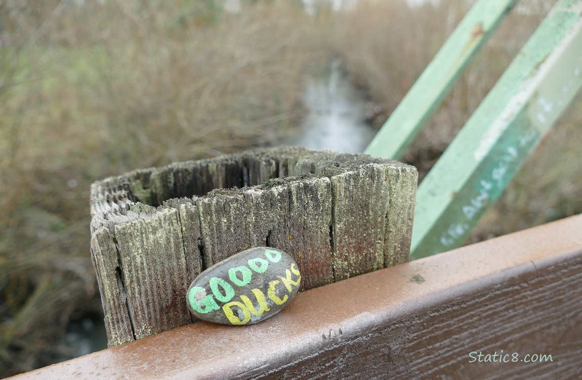 Painted rock, left on a bridge: Gooo Ducks