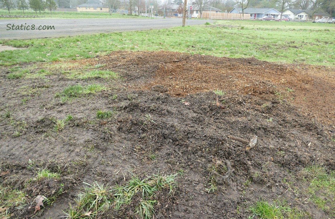 Wood chips and mud in the grass