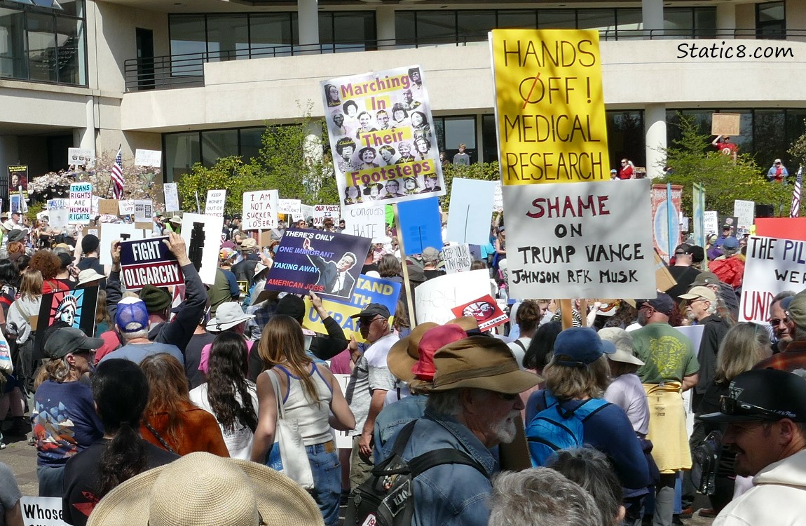 Protesters with many different signs