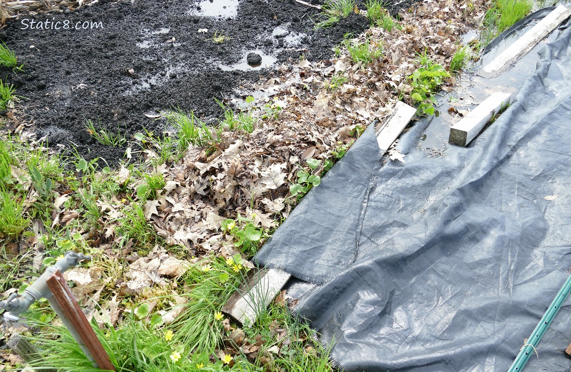 Garden plot