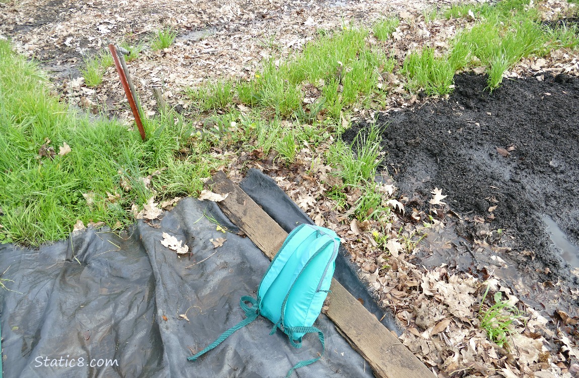 Garden Plot