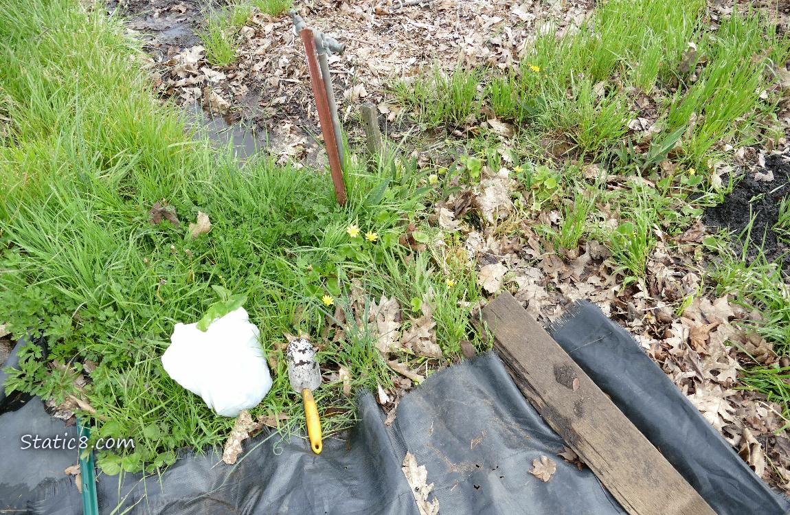 Garden Plot