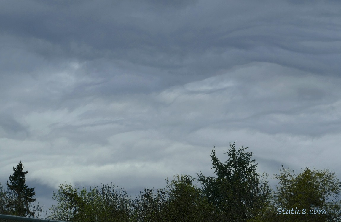 Clouds over silhouettes of trees