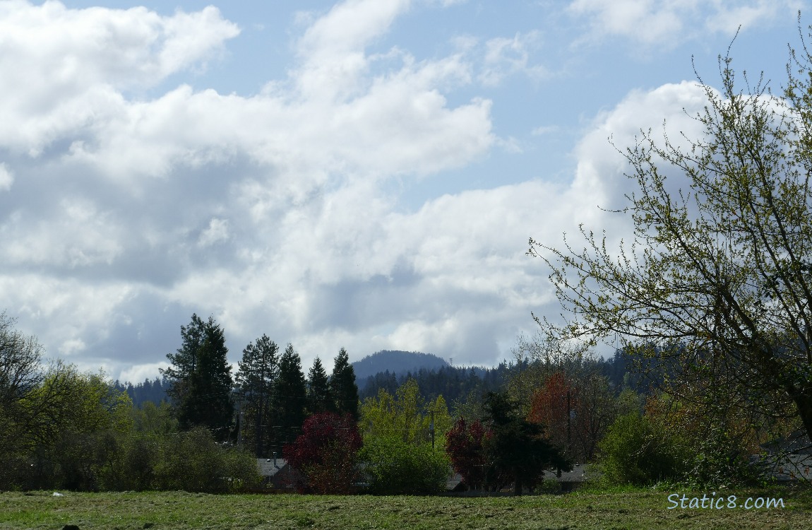 Sky of white puffy clouds over the hill and trees