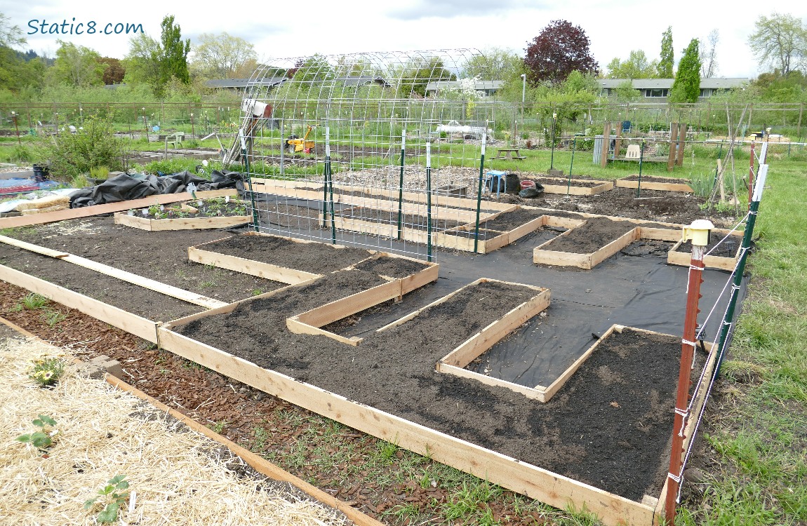 Raised garden beds