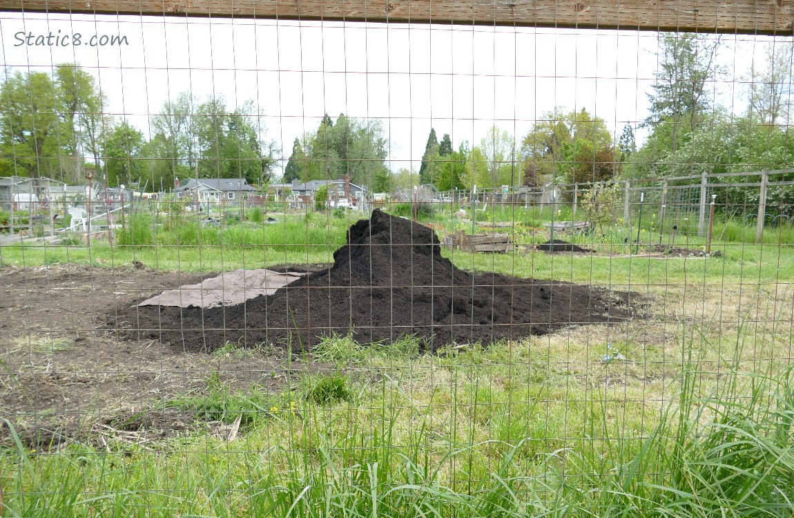 Pile of dirt in a community garden