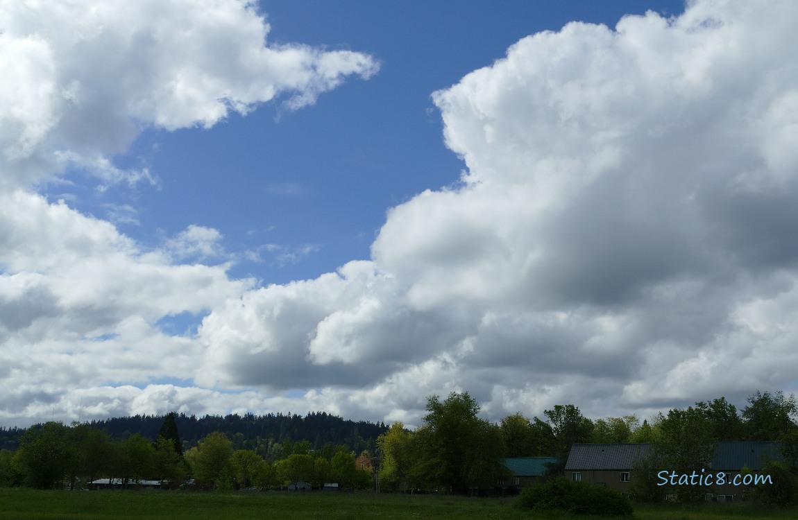 White puffy clouds and a blue sky
