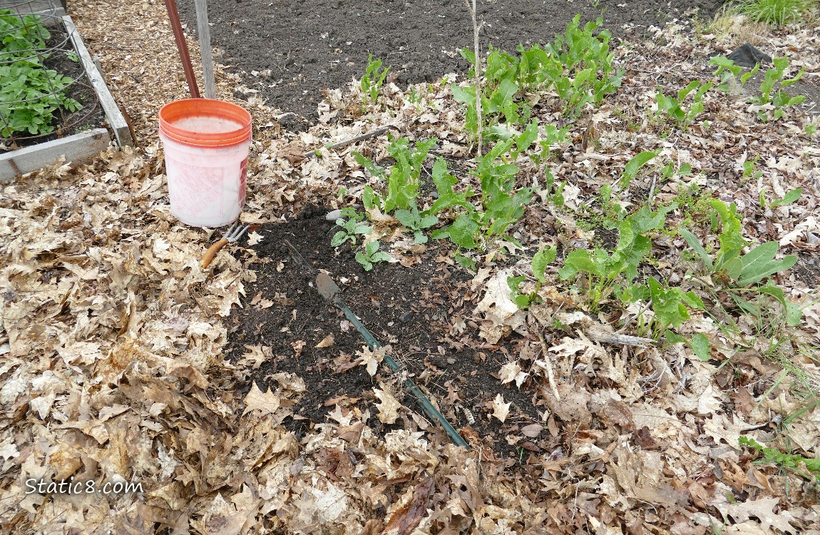 Garden plot
