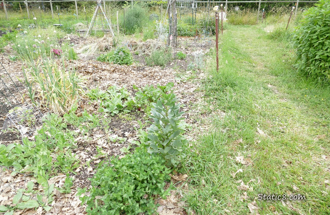 Garden plot