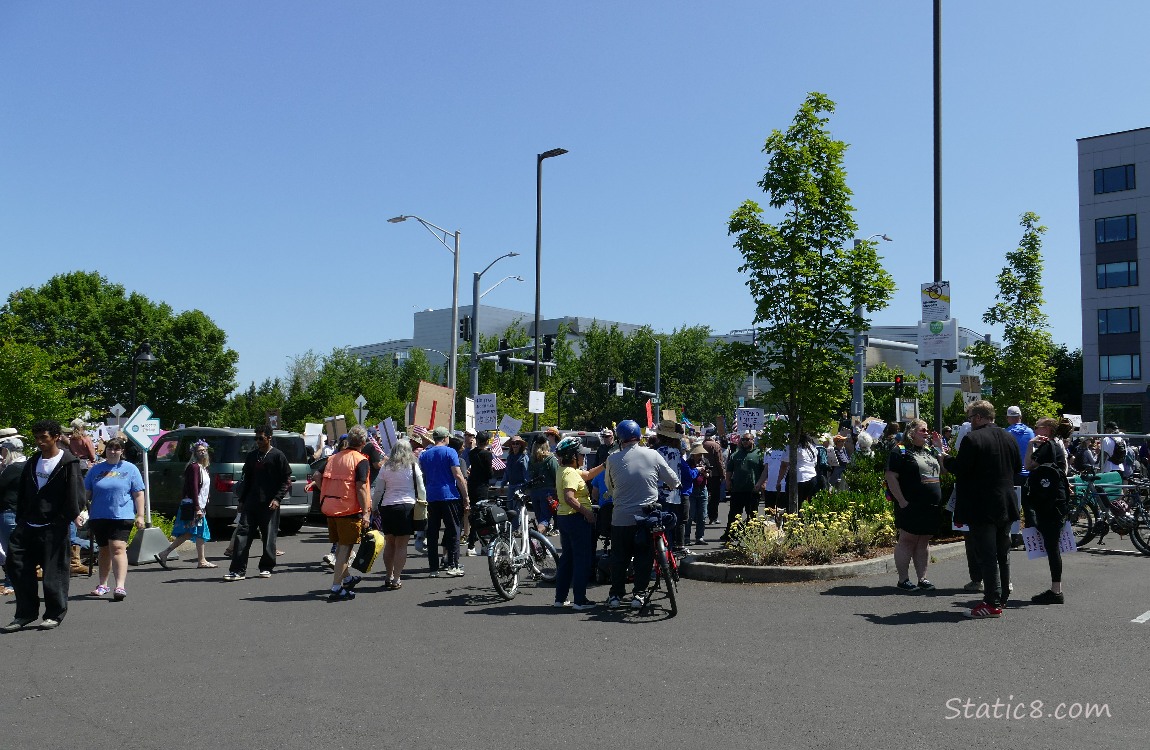 Protest