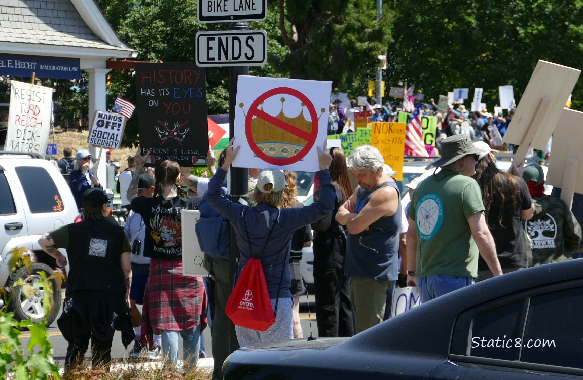 Protest, a protester holds up a No Kings sign