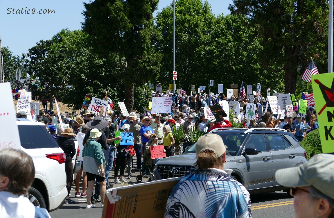 Protest