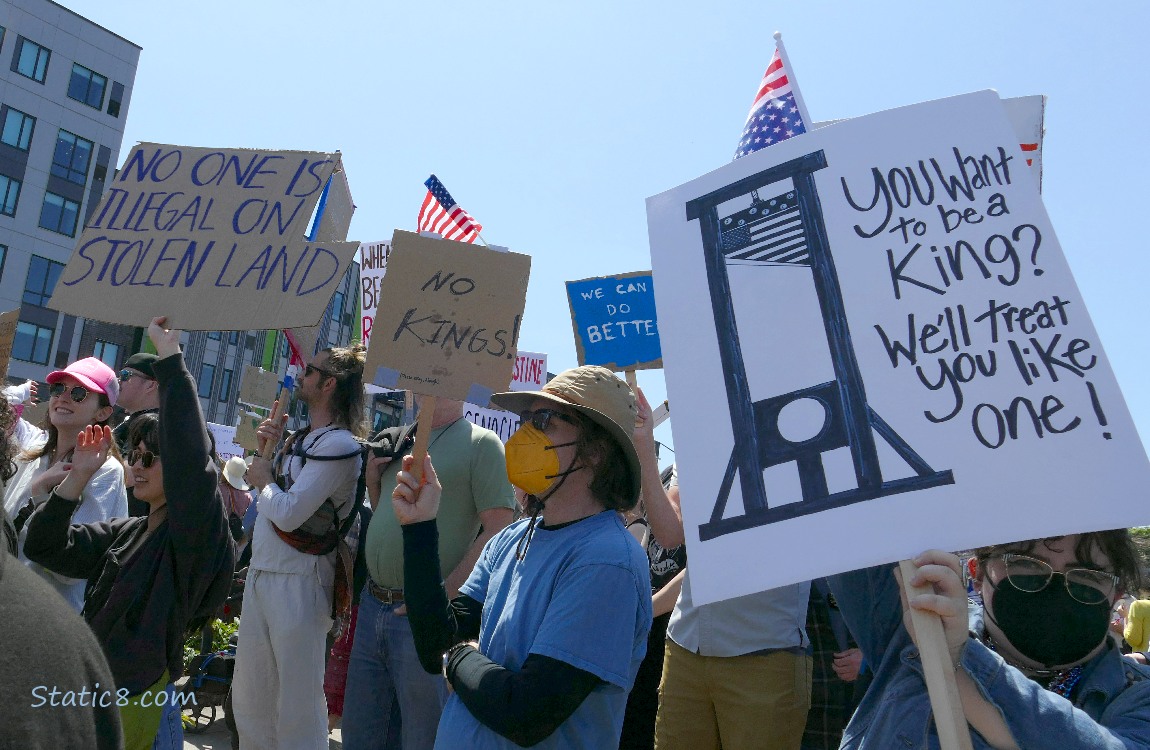 Protest