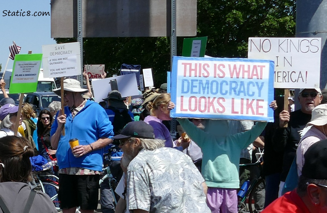 Protest