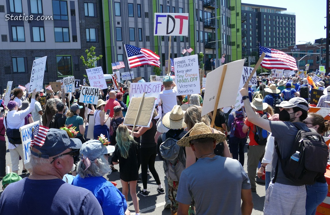 Protest