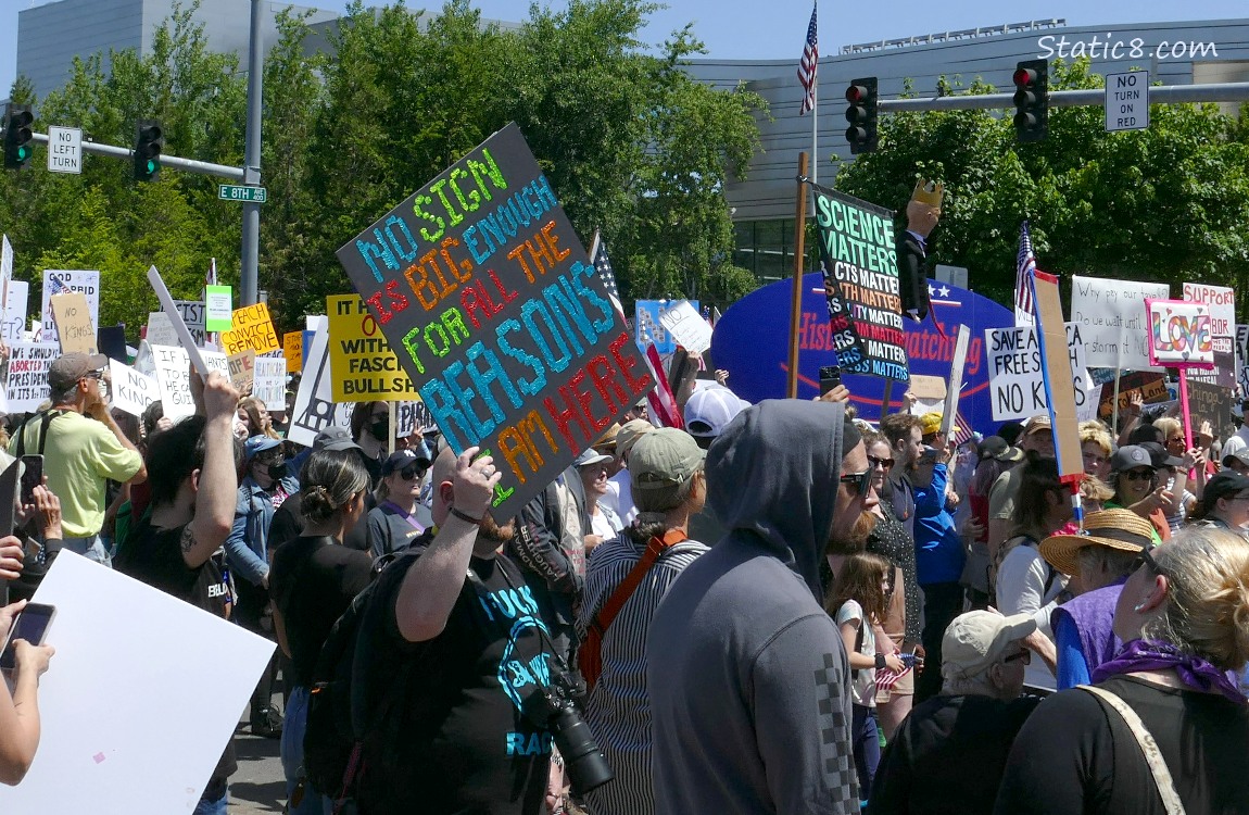 Protest