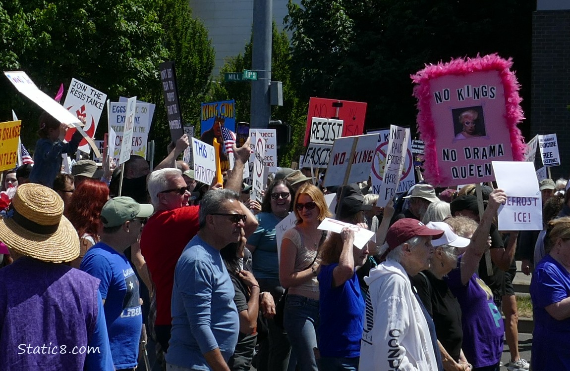 Protest