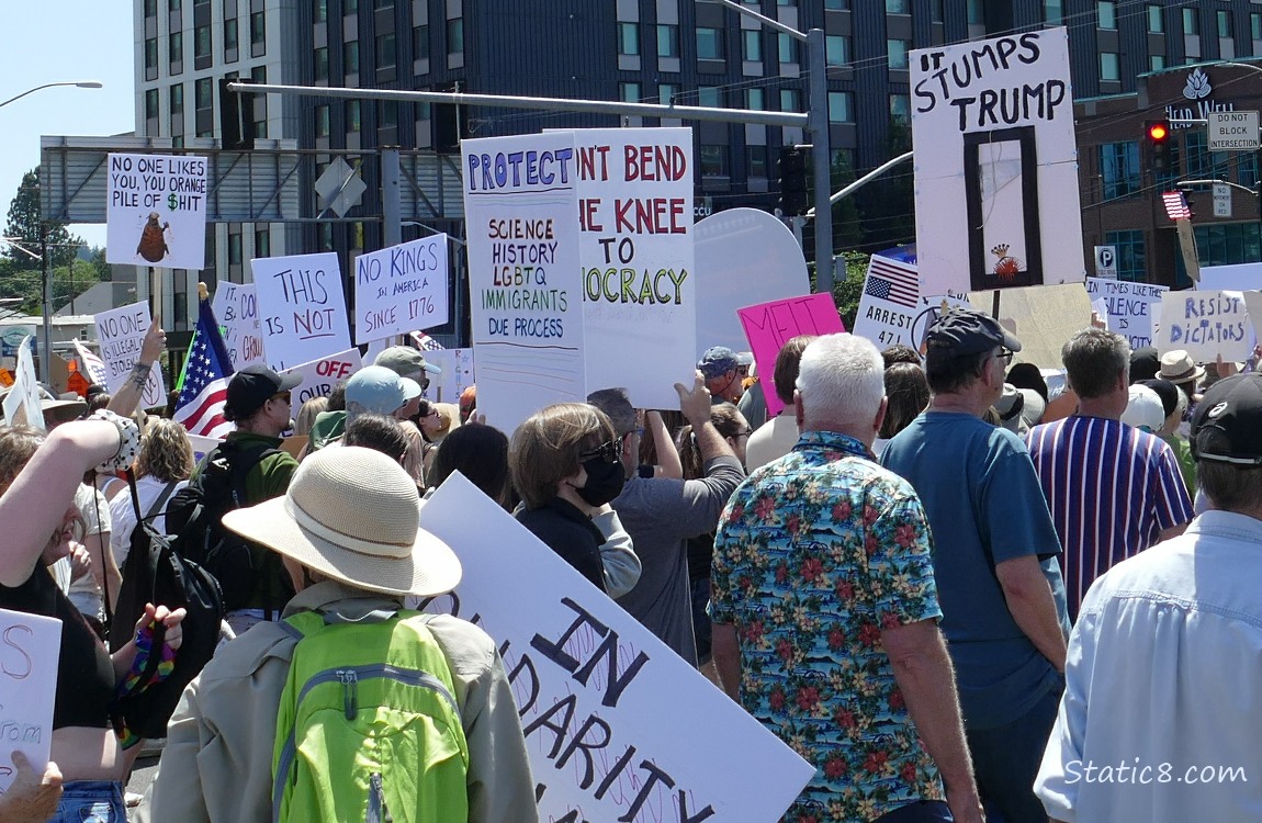 Protest