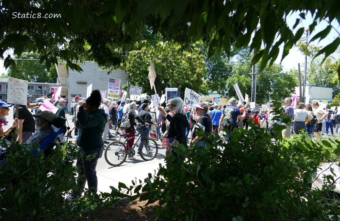 Protest