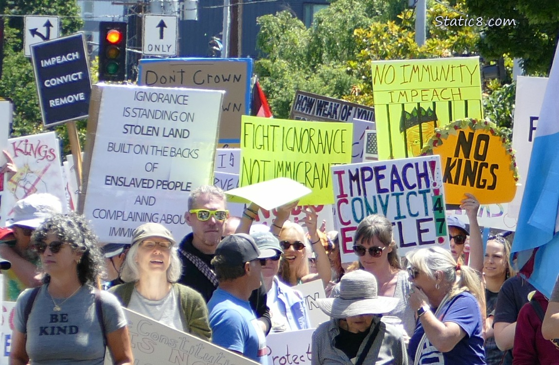 Protest